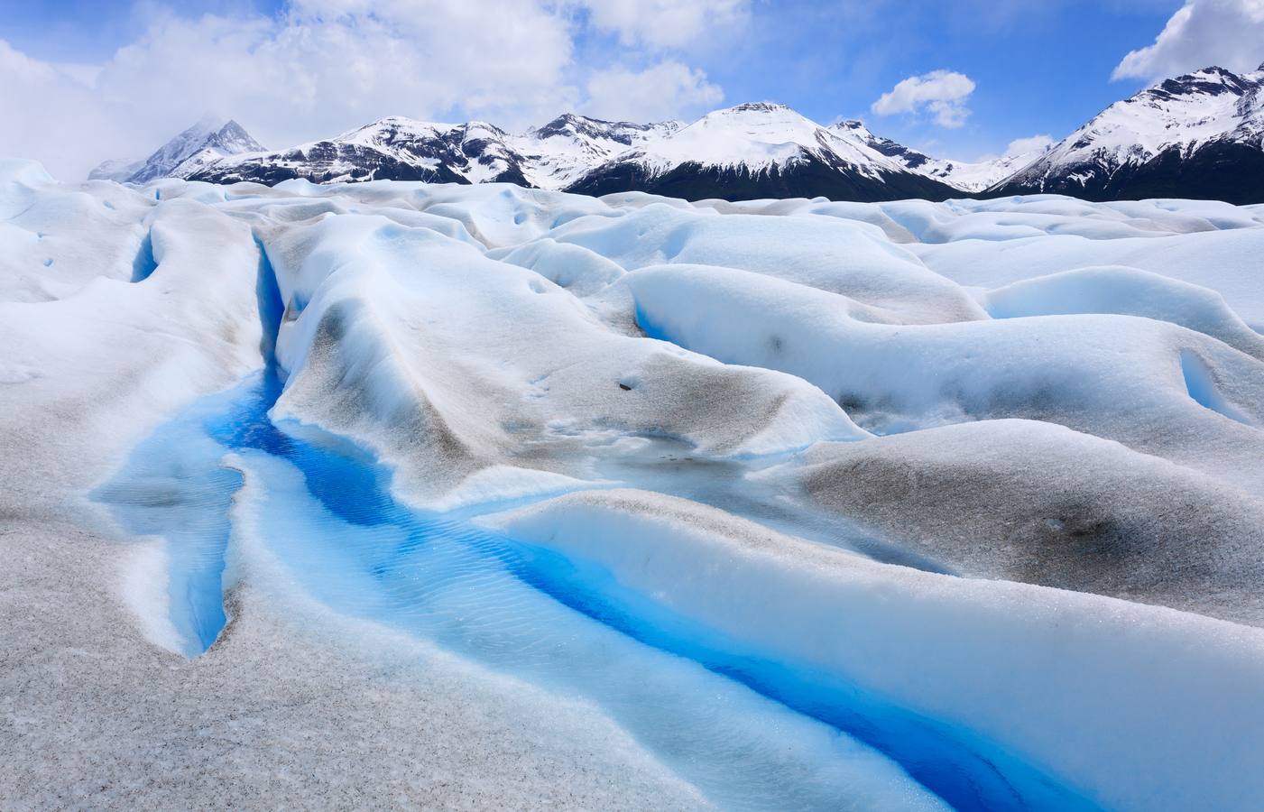 European Commission Article 22 Merger Regulation 139/2004 control national thresholds